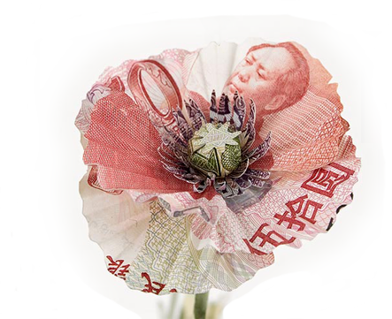 moneyflower